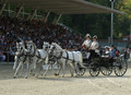 Herbstparade mit Lipizzanerkulinarium