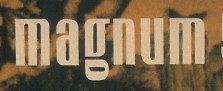 Beispielhafter Titelschriftzug der Zeitschrift