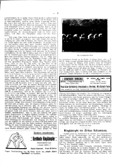 Illustriertes (Österreichisches) Sportblatt 19110408 Seite: 9