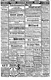 Neue Freie Presse 18980626 Seite: 25