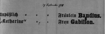 Theaterzettel (Oper und Burgtheater in Wien) 18710719 Seite: 2
