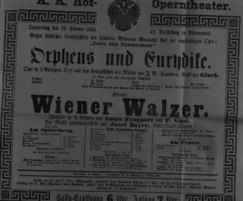Theaterzettel (Oper und Burgtheater in Wien) 18850219 Seite: 2