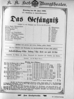 Theaterzettel (Oper und Burgtheater in Wien) 18950629 Seite: 1