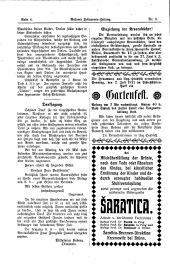 Brünner Hebammen-Zeitung 19110615 Seite: 4