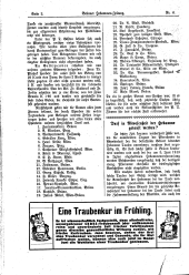 Brünner Hebammen-Zeitung 19130620 Seite: 2