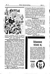 Brünner Hebammen-Zeitung 19131120 Seite: 5