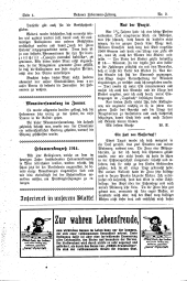 Brünner Hebammen-Zeitung 19140220 Seite: 4