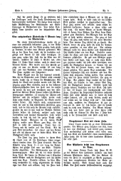 Brünner Hebammen-Zeitung 19140320 Seite: 8