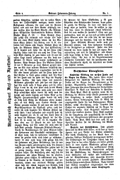 Brünner Hebammen-Zeitung 19160120 Seite: 4
