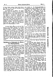 Brünner Hebammen-Zeitung 19160520 Seite: 3