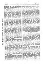 Brünner Hebammen-Zeitung 19180220 Seite: 4