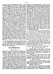Hebammen-Zeitung 18881230 Seite: 3