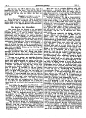 Hebammen-Zeitung 18930115 Seite: 5