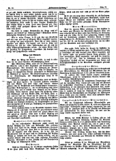 Hebammen-Zeitung 18930530 Seite: 5