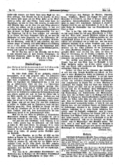 Hebammen-Zeitung 18931015 Seite: 5