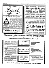 Hebammen-Zeitung 18931230 Seite: 6