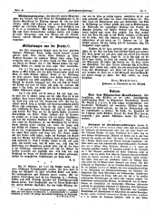 Hebammen-Zeitung 18940315 Seite: 6