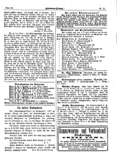 Hebammen-Zeitung 18940715 Seite: 6