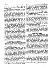 Hebammen-Zeitung 18950130 Seite: 2