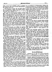 Hebammen-Zeitung 18950515 Seite: 2