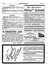 Hebammen-Zeitung 18950515 Seite: 7