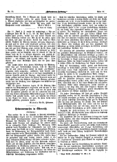 Hebammen-Zeitung 18950530 Seite: 5