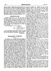 Hebammen-Zeitung 18950615 Seite: 5