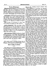 Hebammen-Zeitung 18950730 Seite: 3
