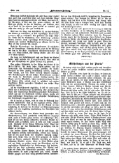 Hebammen-Zeitung 18950730 Seite: 4