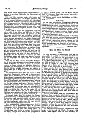Hebammen-Zeitung 18950815 Seite: 9