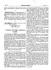 Hebammen-Zeitung 18950830 Seite: 3