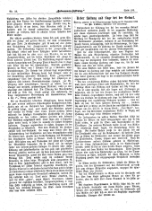 Hebammen-Zeitung 18951215 Seite: 3