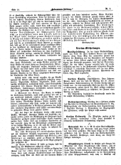 Hebammen-Zeitung 18960130 Seite: 2
