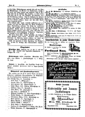 Hebammen-Zeitung 18960330 Seite: 6