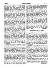Hebammen-Zeitung 18960615 Seite: 4