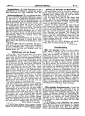 Hebammen-Zeitung 18960630 Seite: 4