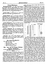 Hebammen-Zeitung 18960730 Seite: 3