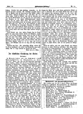 Hebammen-Zeitung 18960730 Seite: 6