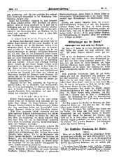 Hebammen-Zeitung 18960815 Seite: 4