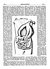 Hebammen-Zeitung 18970115 Seite: 6