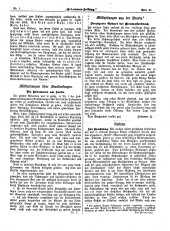 Hebammen-Zeitung 18970315 Seite: 5