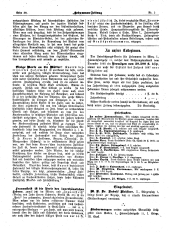 Hebammen-Zeitung 18970315 Seite: 6