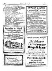 Hebammen-Zeitung 18970315 Seite: 7