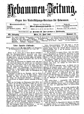 Hebammen-Zeitung 18970615 Seite: 1