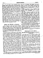 Hebammen-Zeitung 18970615 Seite: 5