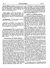 Hebammen-Zeitung 18970630 Seite: 3