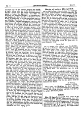 Hebammen-Zeitung 18970630 Seite: 5