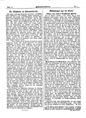 Hebammen-Zeitung 18980130 Seite: 4