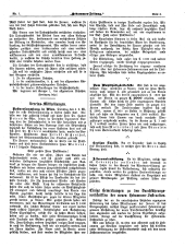 Hebammen-Zeitung 18990115 Seite: 7