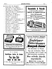 Hebammen-Zeitung 18990115 Seite: 10